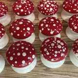 Hand Painted Toadstool Furniture Knobs
